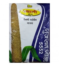 PearlMillet / Bajra Gujrat Gold 5552